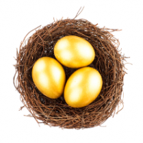 Ira eggs in nest